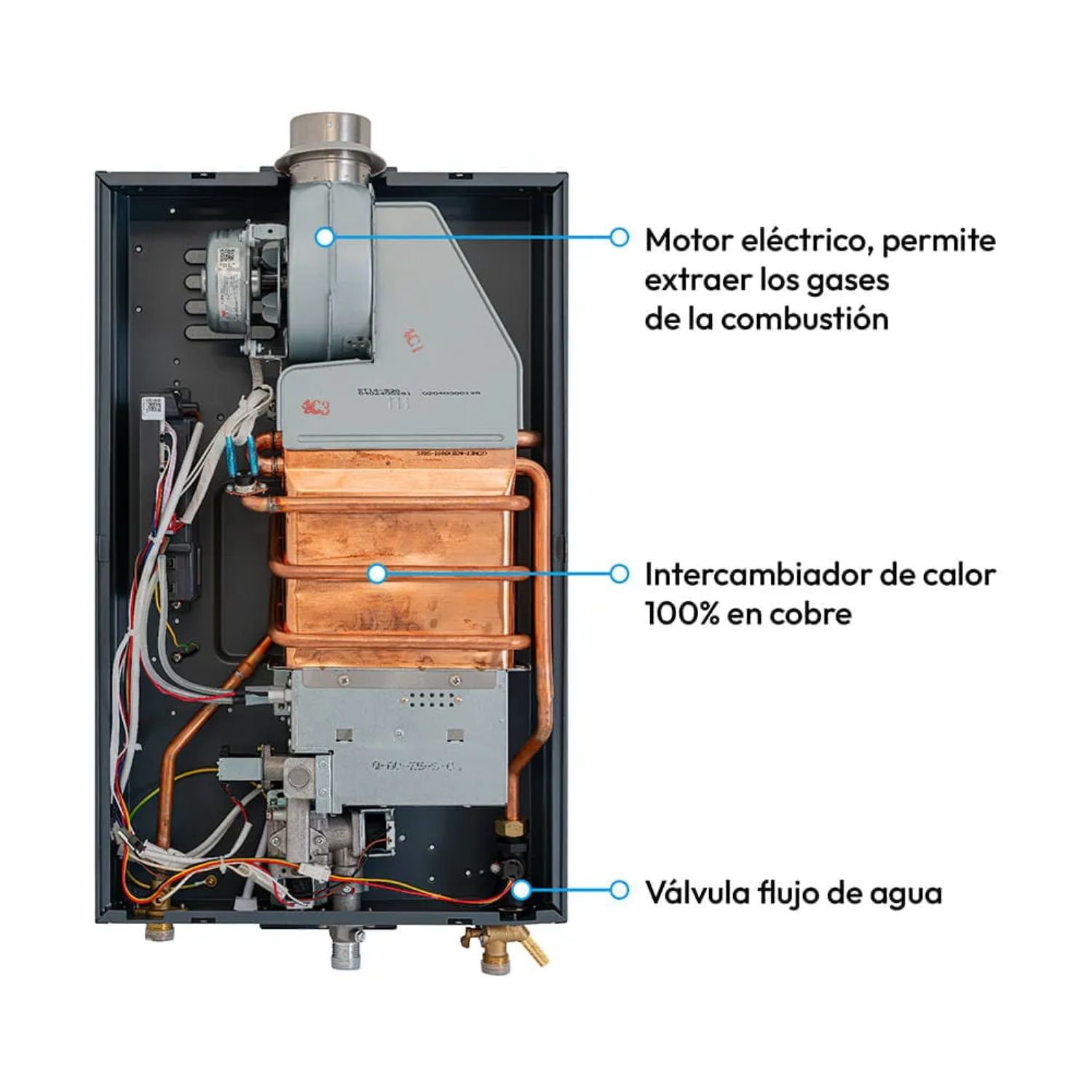 Interior del calentador Challenger 16 litros con motor eléctrico e intercambiador 100% en cobre