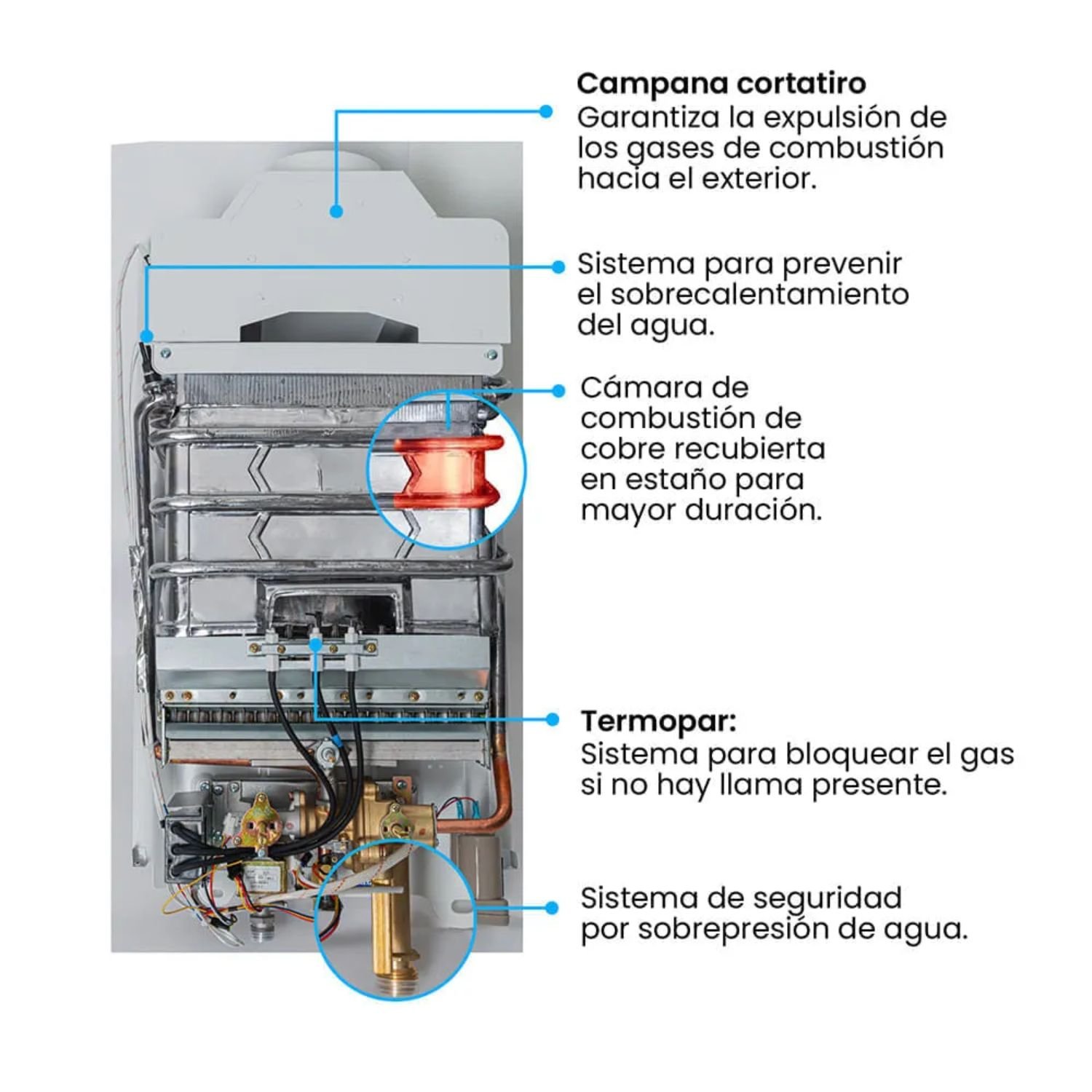 Componentes internos del calentador a gas Challenger WHN-7216 de 16 litros