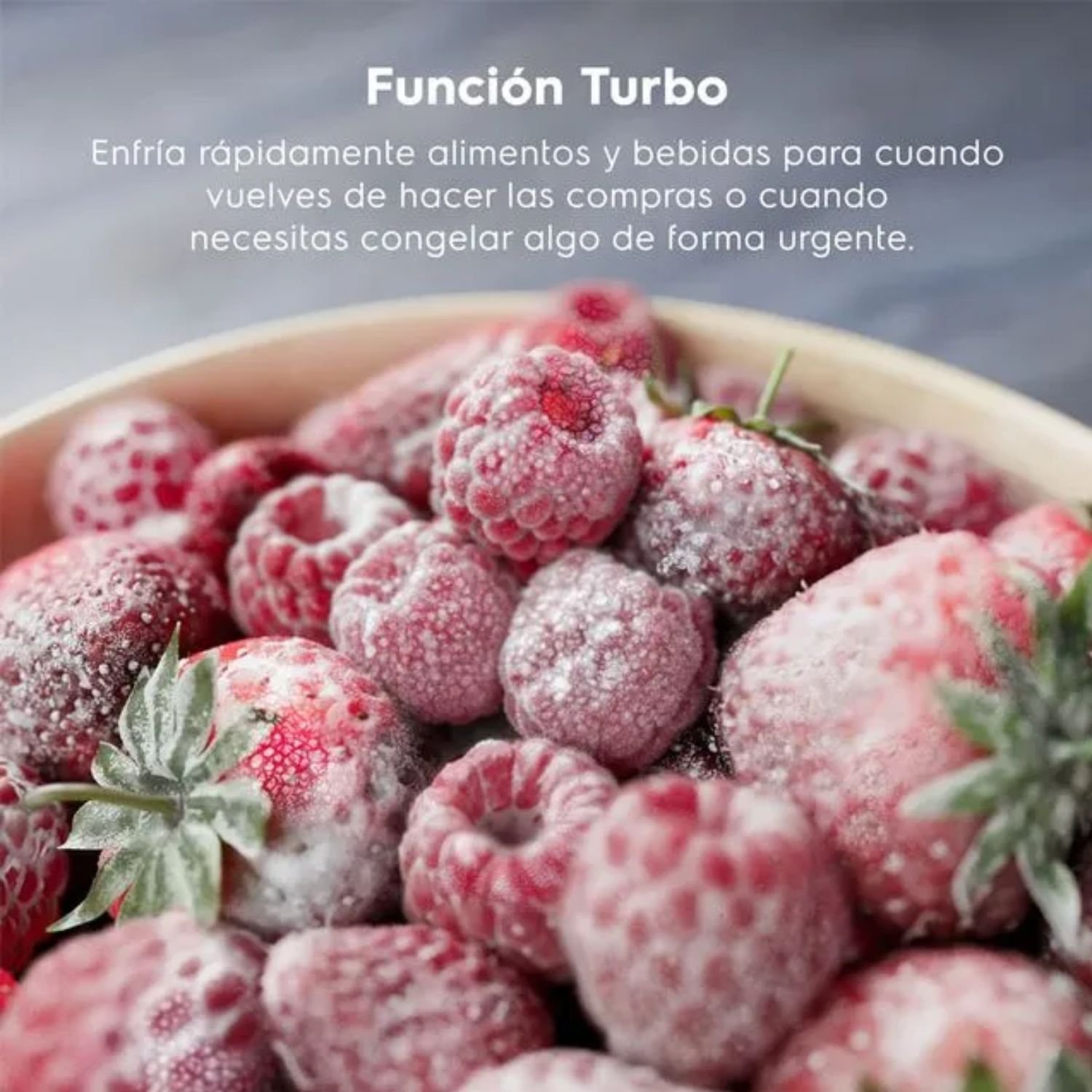 Función Turbo para congelar rápido alimentos y bebidas congelador Electrolux 95 litros